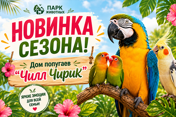 ЧИЛЛ-ЧИРИК